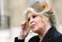 Brigitte Bardot, en 2007, à l'Élysée.