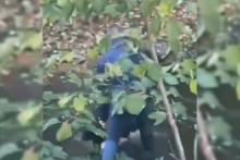 Le policier lynché à Belfort vendredi 2 octobre a auparavant été filmé en train d'interpeller un jeune homme dans une rivière.