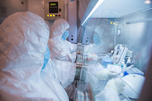 Photo d'archive non datée diffusée par l'Institut de recherche antipeste d'Irkoutsk.