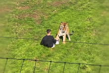 Un homme a été tué dans l'enclos d'un tigre au Yorkshire Wildlife Park samedi