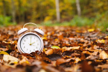 Une horloge dans des feuilles d'automne - AdobeStock