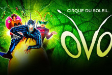 Image Cirque du Soleil - OVO