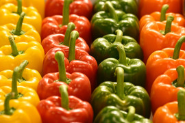 Des poivrons (illustration)