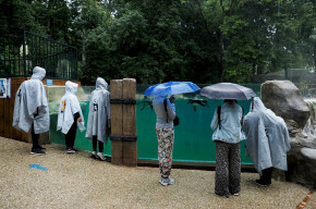 Des visiteurs du Zoo de Beauval sous la pluie le 13 juillet 2021 (illustration).