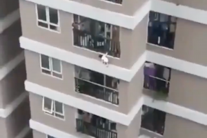 Une fillette a chuté du 12e étage d'un immeuble, au Vietnam, dimanche 28 février.