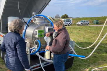 Marie, éleveuse de vaches, distribue du lait aux habitants de l'île d'Ouessant dans le Finistère.