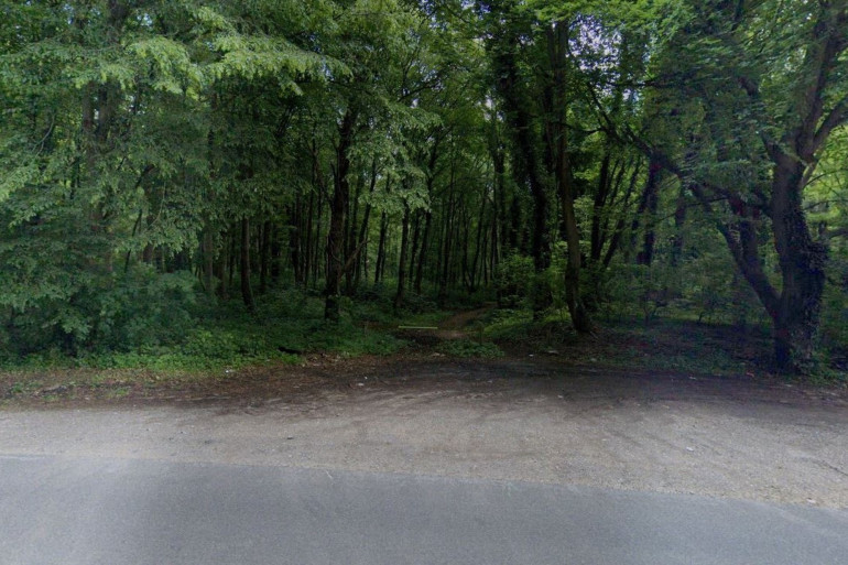 Élisa Pilarski est décédée dans la forêt de Retz à Saint-Pierre-Aigle