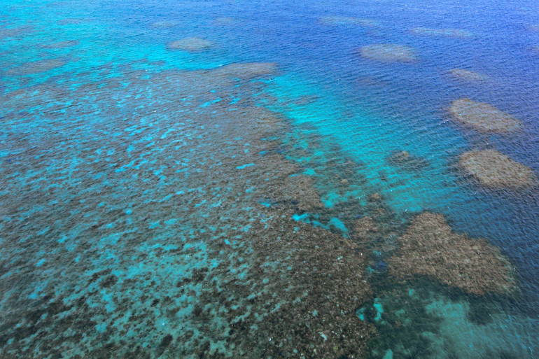 La grande barrière de corail au large de l'état australien du Queensland