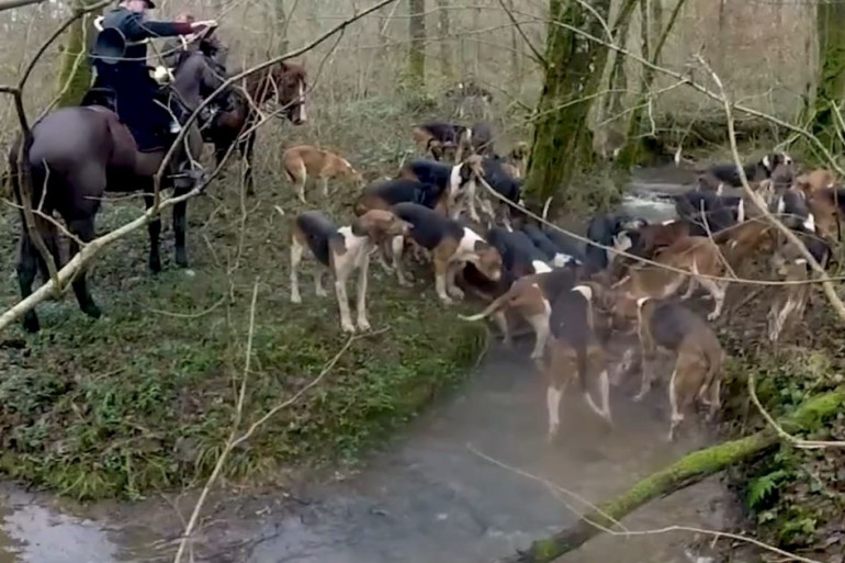 Une image d'une chasse à cour