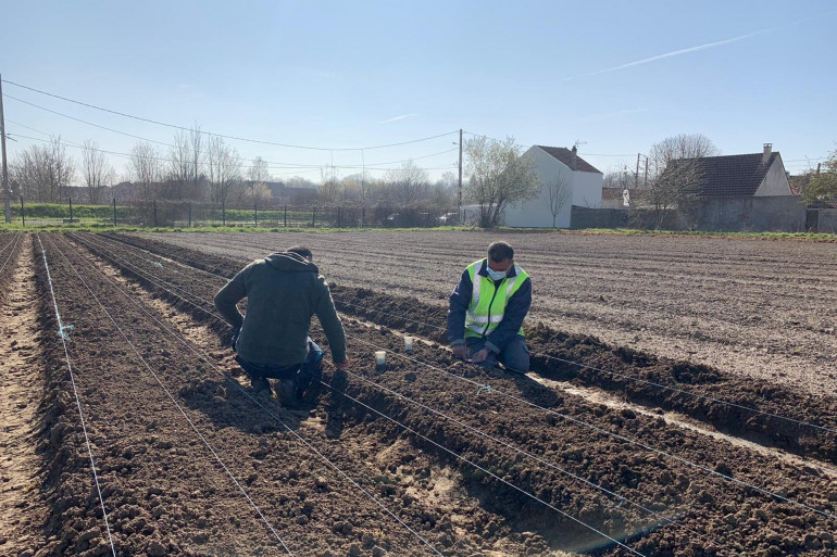 A Sevran en région parisienne, l’association Aurore produit des fruits et des légumes depuis 24 ans dans des jardins biologiques.