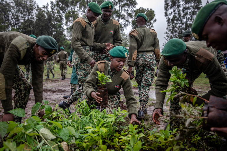 Au Kenya, le 13 novembre 2023 était un jour férié consacré à planter des arbres