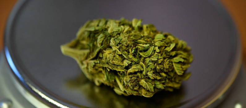 A Madrid 75 Du Cannabis Vendu Contient Des Matieres Fecales A Madrid 75 Du Cannabis Vendu Contient Des Matieres Fecales
