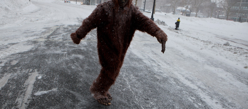 Etats Unis Il Croit Reconnaitre Bigfoot Et Tire En Fait Sur Un Chasseur