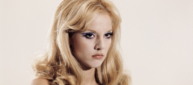 Buste Sylvie Vartan (cheveux Courts) - Starfan's - Neuf En Boîte
