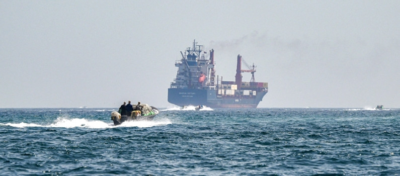 Petite, rapide, difficile à repérer : qu'est-ce que la "flotte moustique"  iranienne qui perturbe le trafic maritime dans le détroit d'Ormuz ?