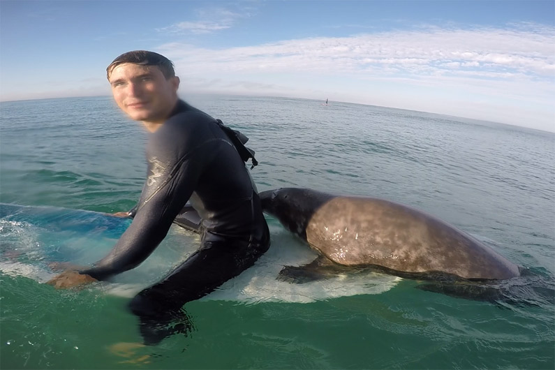 rencontre avec surfeur