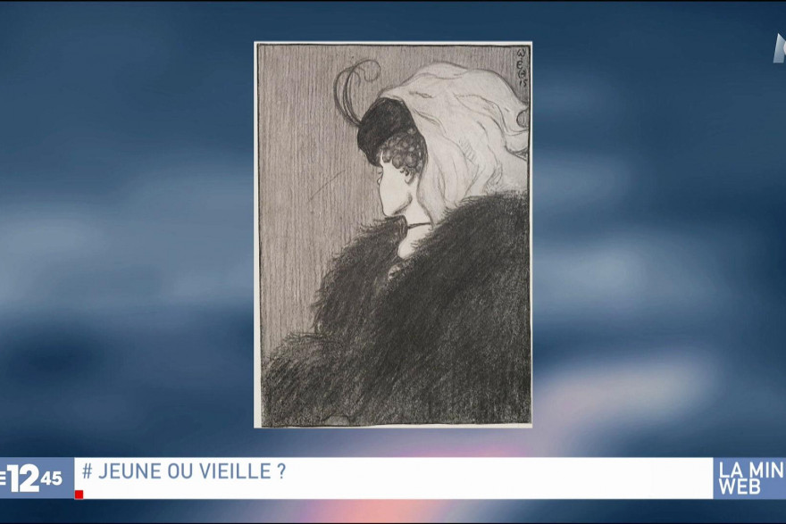 Video Selon Votre Age Vous Ne Voyez Pas La Meme Femme Sur Cette Image