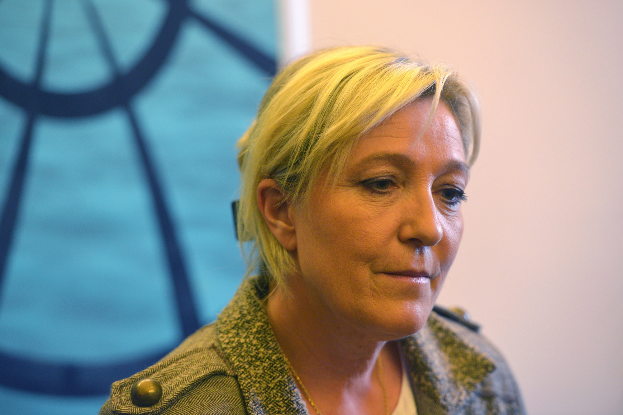 Quel Est Le Métier De Marine Le Pen