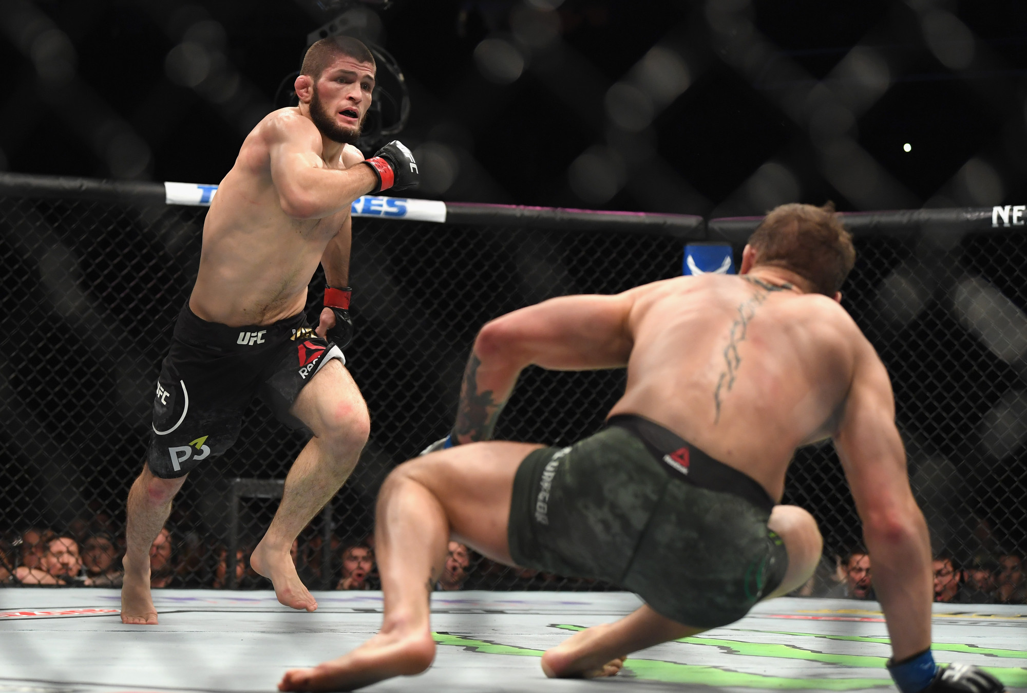 VID O MMA Un Combat D g n re En Bagarre G n rale