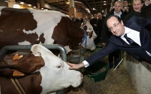 François Hollande au Salon de l'Agriculture 2013