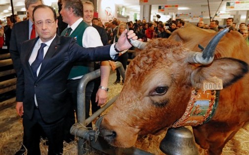 François Hollande avec Bella, la mascotte du Salon de l'Agriculture 2014, samedi 22 février à Paris