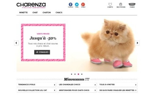 Charenza, numéro 1 de la chaussure pour chats