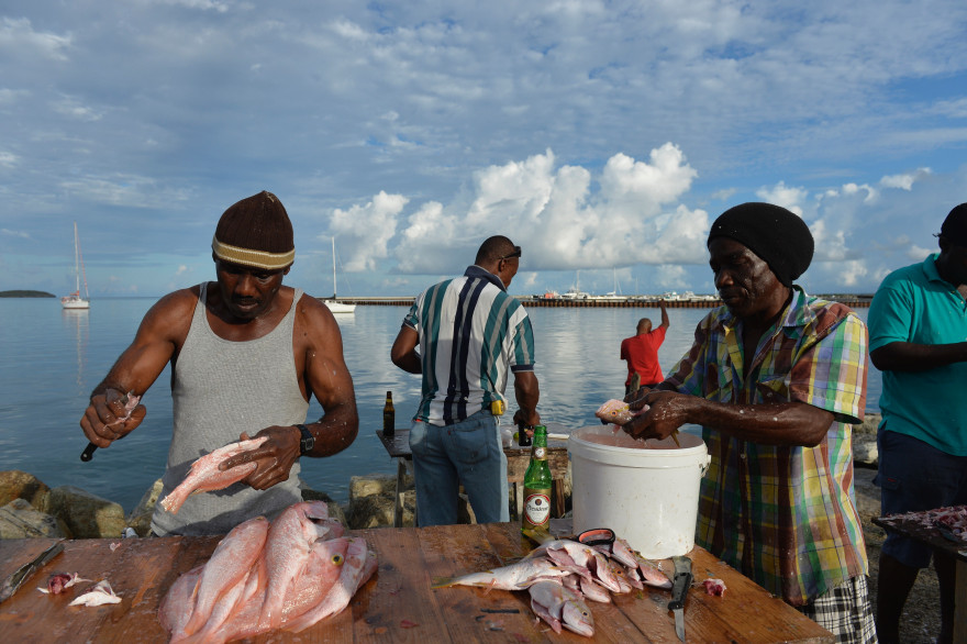 Des pêcheurs sur un marché de Marigot sur l'île de Saint-Martin à la Guadeloupe, en octobre 2013.