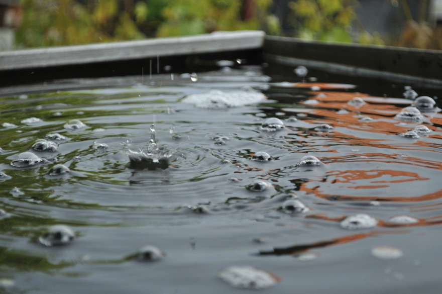 Eaux de pluie : les obligations des particuliers