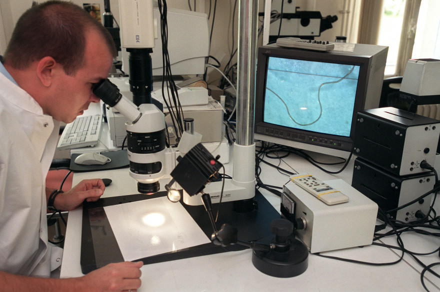 Un microscope électronique (illustration)