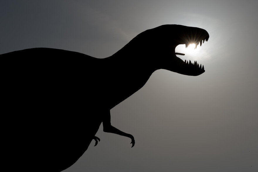 Un dinosaure (illustration)