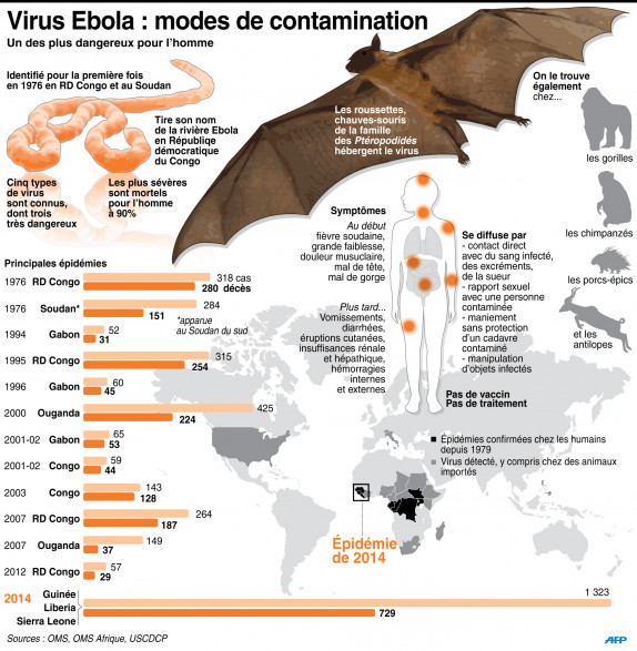 Ebola : les modes de contamination