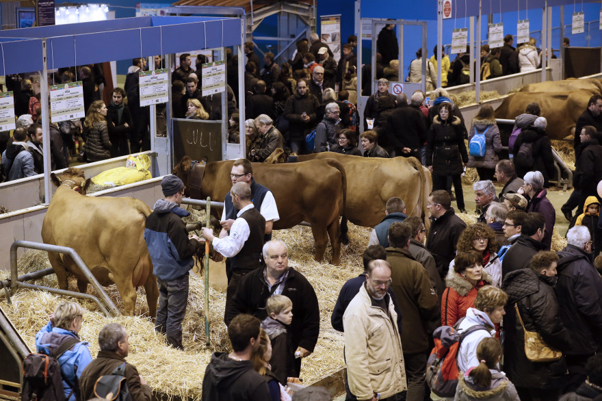 Le Salon de l'Agriculture a ouvert ses portes, le samedi 21 février