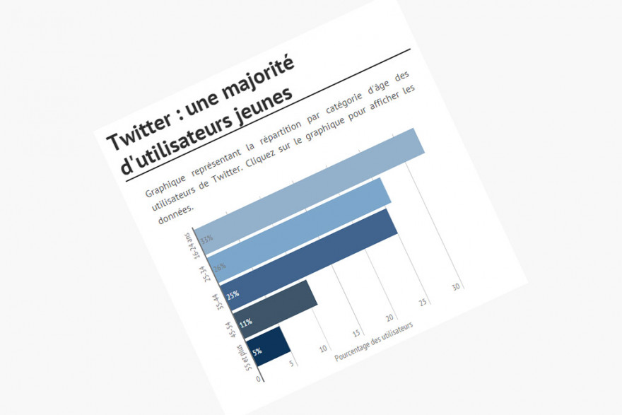 Qui est l'utilisateur type de Twitter en France ?