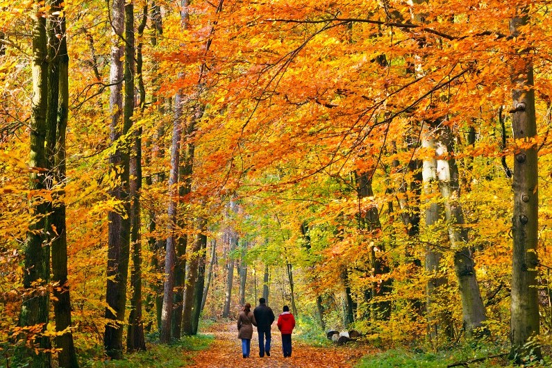 Septembre, l'automne s'installe.