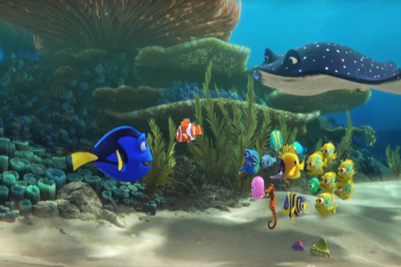 Le Monde De Dory Film Complet En Français VIDÉO - La bande-annonce du "Monde de Dory" dévoilée