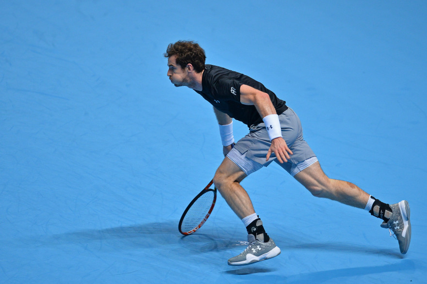 Andy Murray en novembre 2015 à Londres