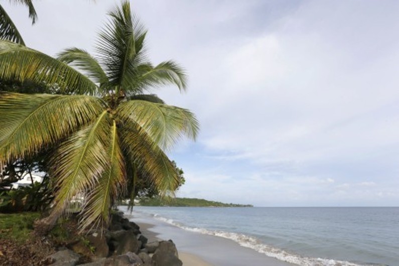 Une plage de Martinique. (image d'illustration)