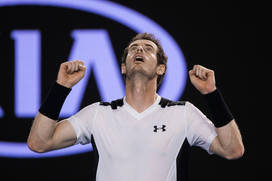 Andy Murray à Melbourne en janvier 2016