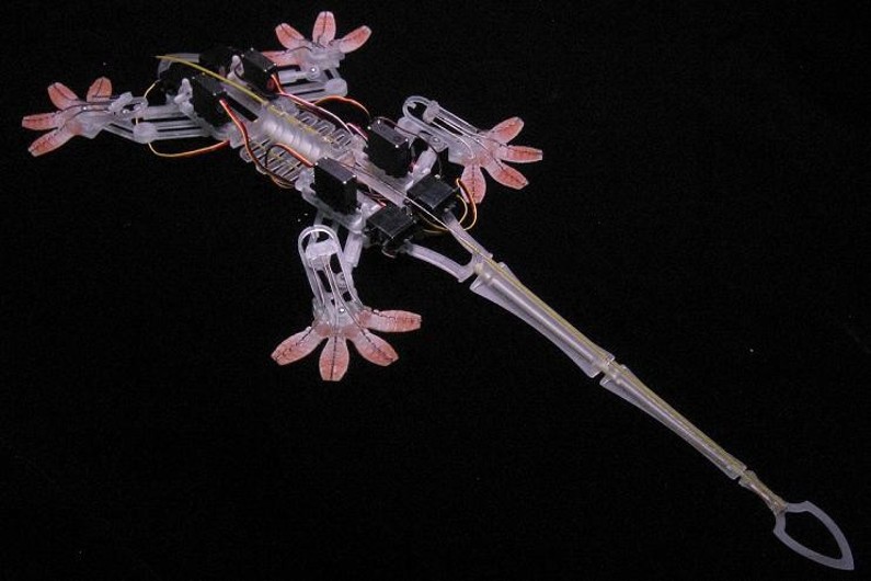 Stickybot, un robot inspiré de l'allure et de la structure corporelle d'un lézard.