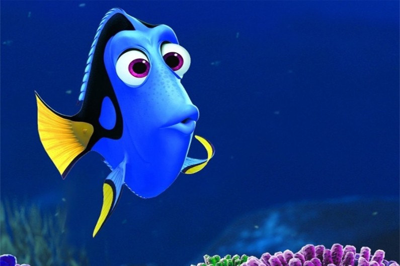 "Le Monde de Dory" est attendu au cinéma le 22 juin