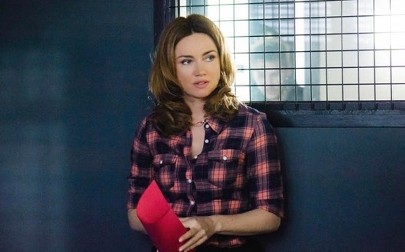 TF1 largement leader avec "Alice Nevers, le juge est une femme"