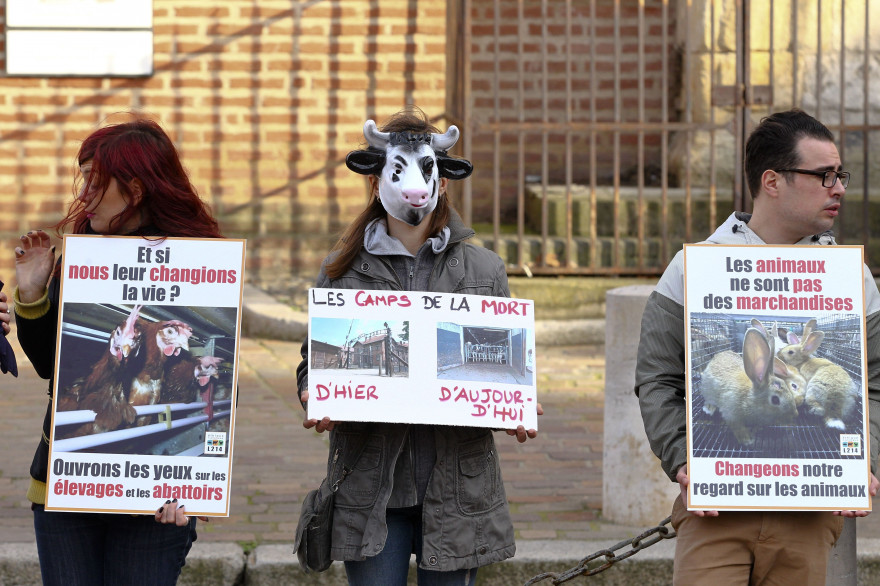 Des membres de l'association L214, le 7 janvier 2014