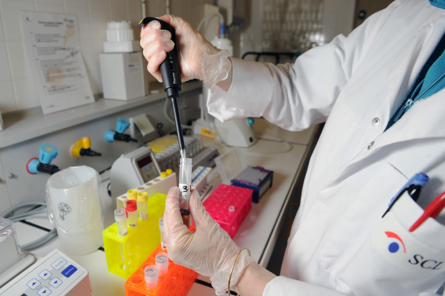 Un laboratoire (Illustration).