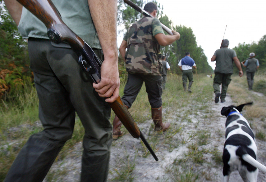 Médoc : exaspéré, il abat son chien de chasse de deux coups de fusil