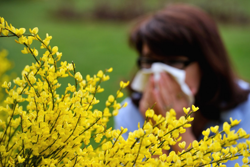 Une femme allergique au pollen (illustration)