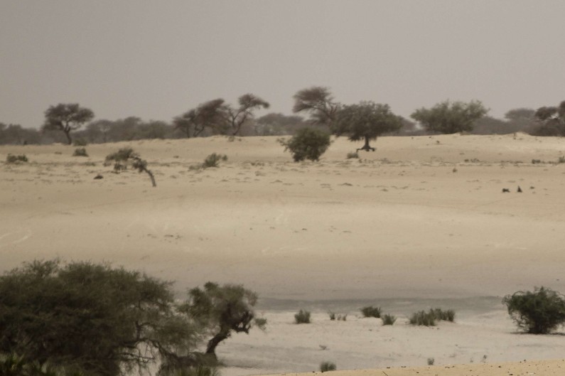 Le désert, dans le Sahel