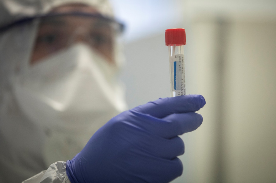 Un chercheur testant un échantillon possiblement infecté par le Coronavirus