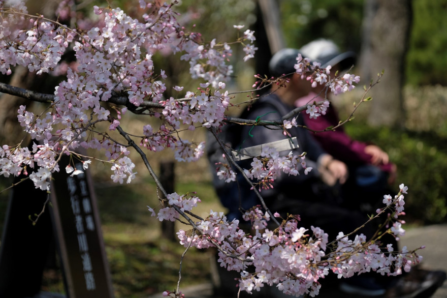 Le printemps (illustration)
