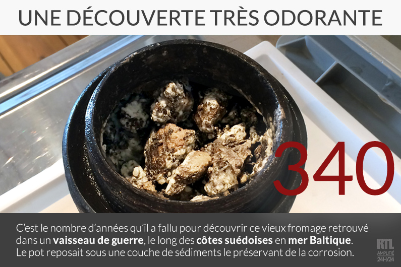 Un fromage vieux de 340 ans découvert dans une épave