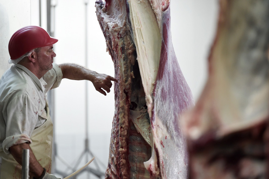 Un employé d'un abattoir (Illustration).